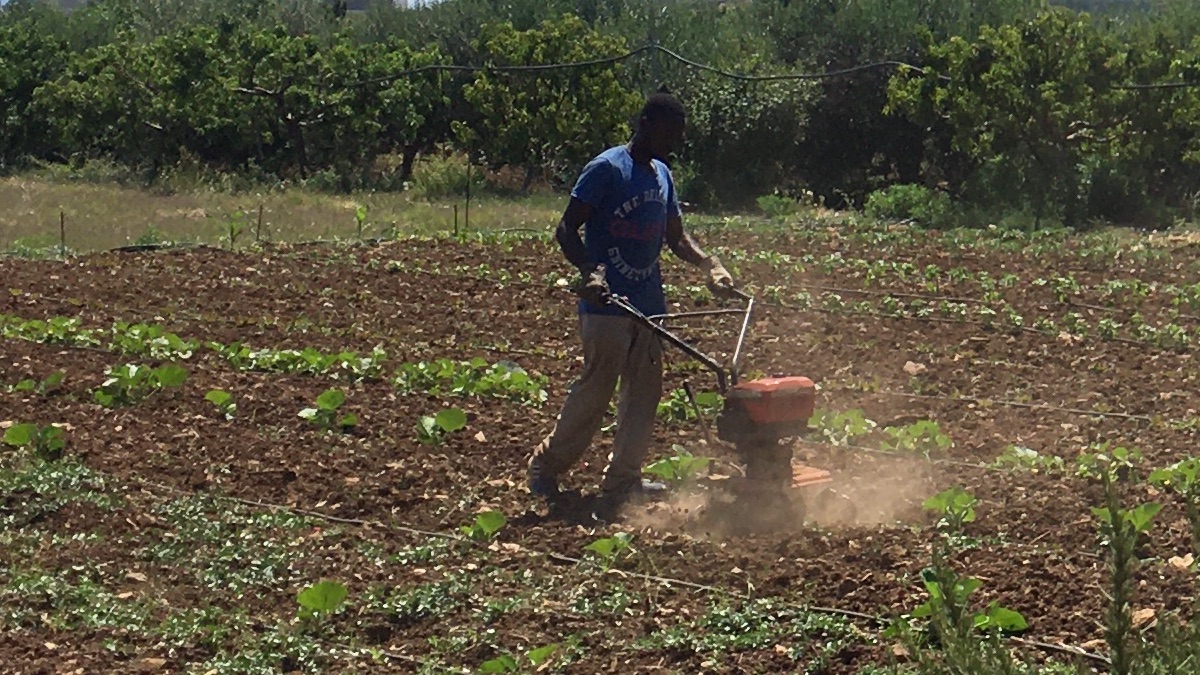 Operai agricoli, contratti fermi al palo. Fai, Flai e Uila per sicurezza e diritti