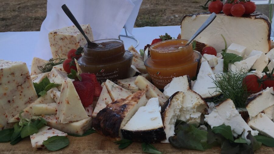 formaggi di latte ovino