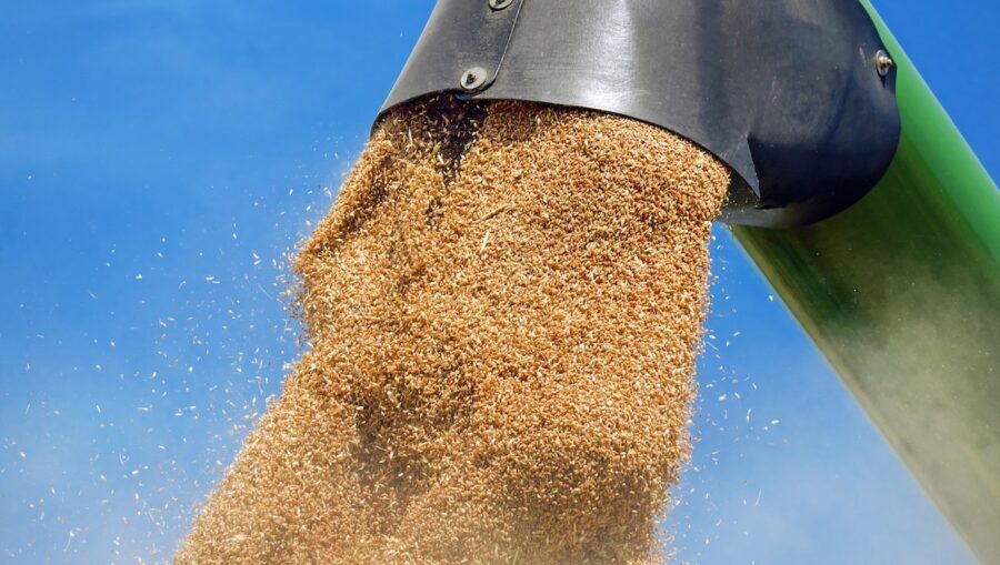 petizione grano duro estero
