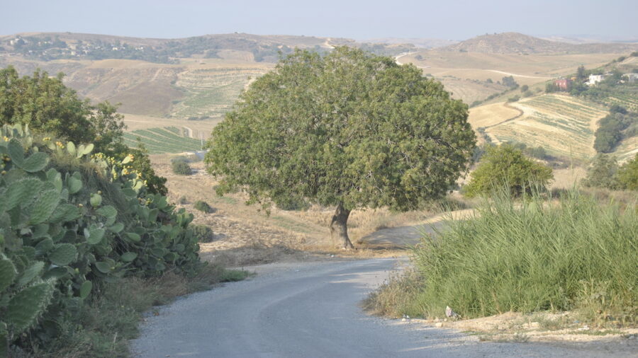viabilità rurale