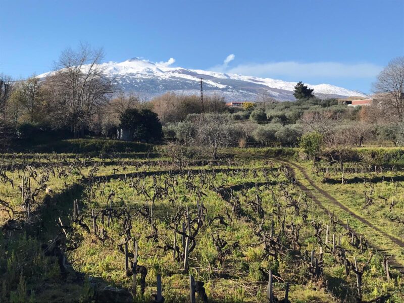 Doc Etna