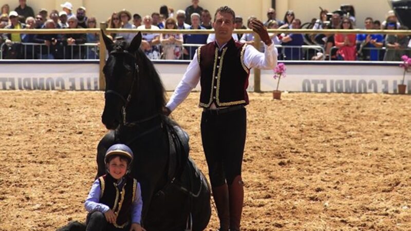 Fiera mediterranea del cavallo di Ambelia, la Regione cerca espositori
