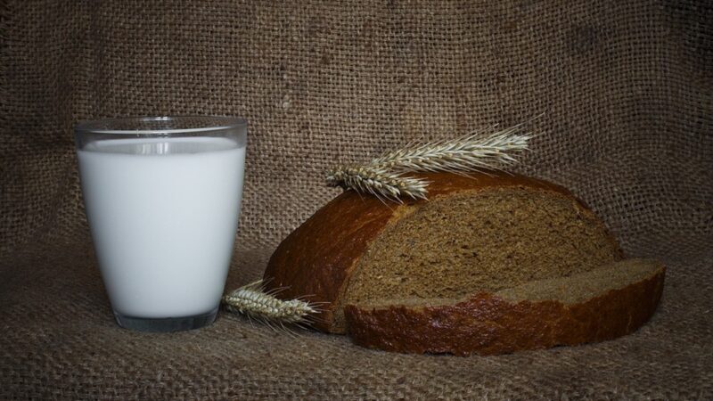 Its Sicani, bando per corsi gratuiti su grano e prodotti lattiero-caseari