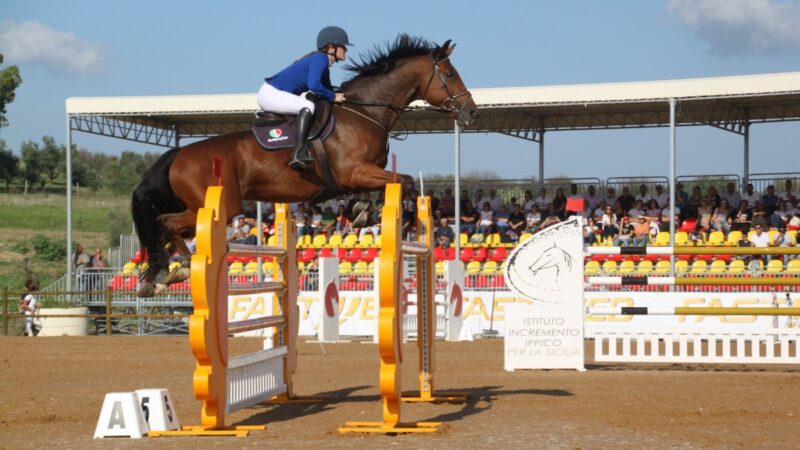 Nella Tenuta di Ambelia torna la Fiera mediterranea del cavallo
