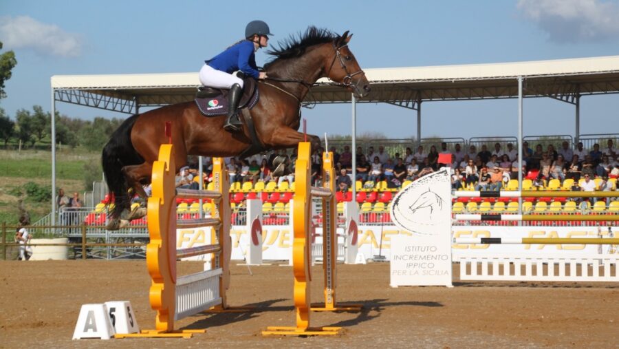 Fiera mediterranea del cavallo