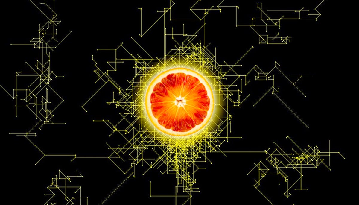 Al via la blockchain gratuita per la filiera agrumicola siciliana