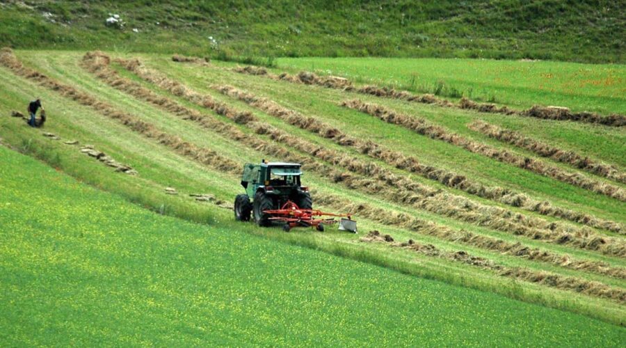 agricoltura