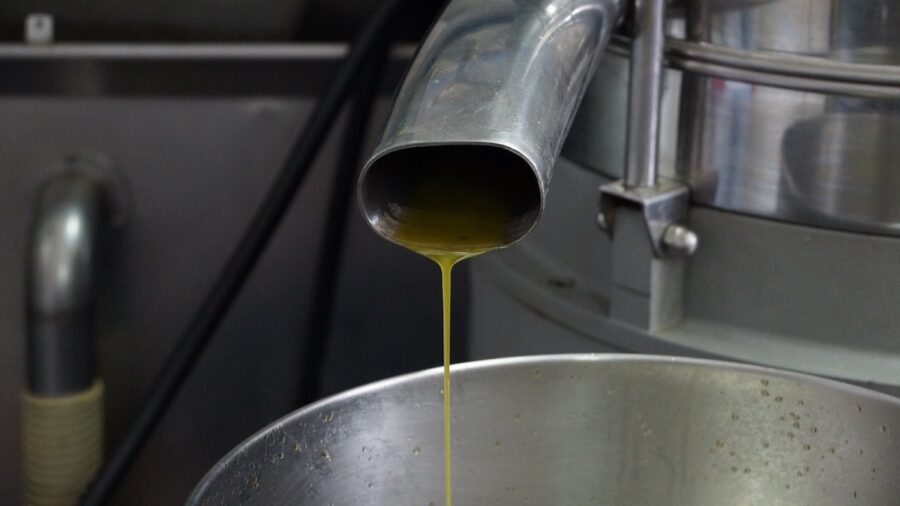 olio d'oliva