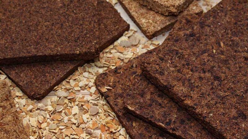 Dal pastazzo di agrumi, pannelli termoisolanti per la bioedilizia