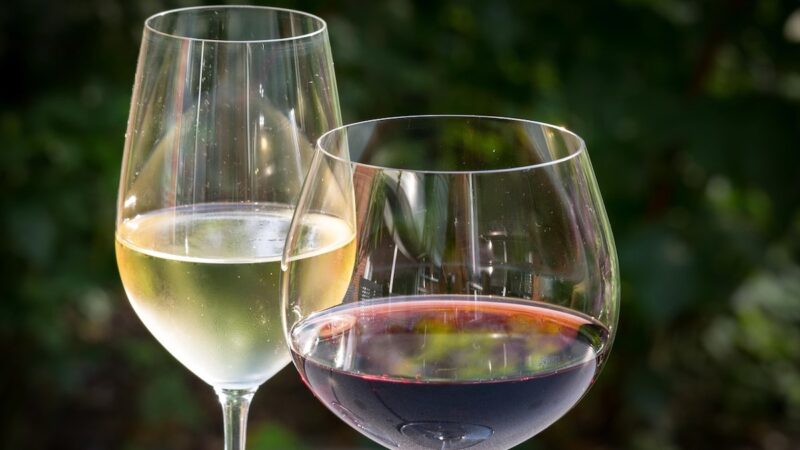 All’Irvo la certificazione dei vini a Doc e Igp prodotti a Malta