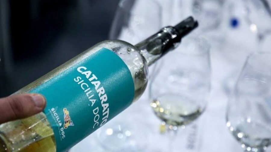Doc Sicilia Catarratto