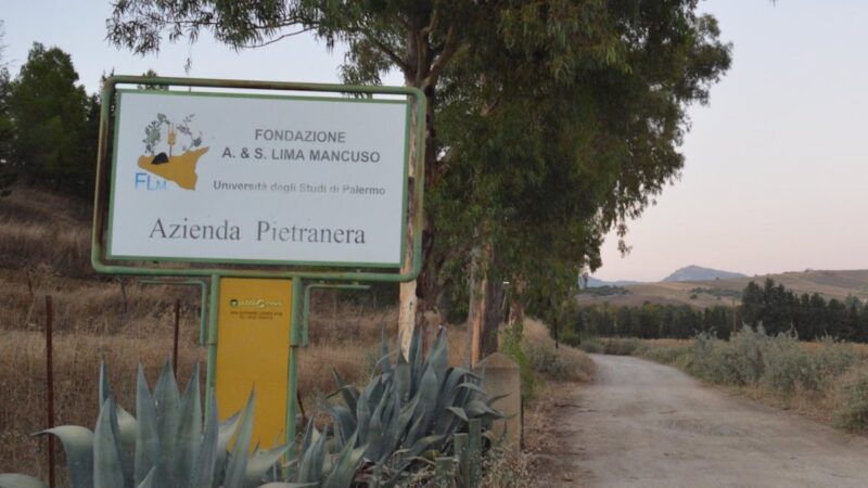Fondazione Lima Mancuso, borse di studio per laureati in agraria