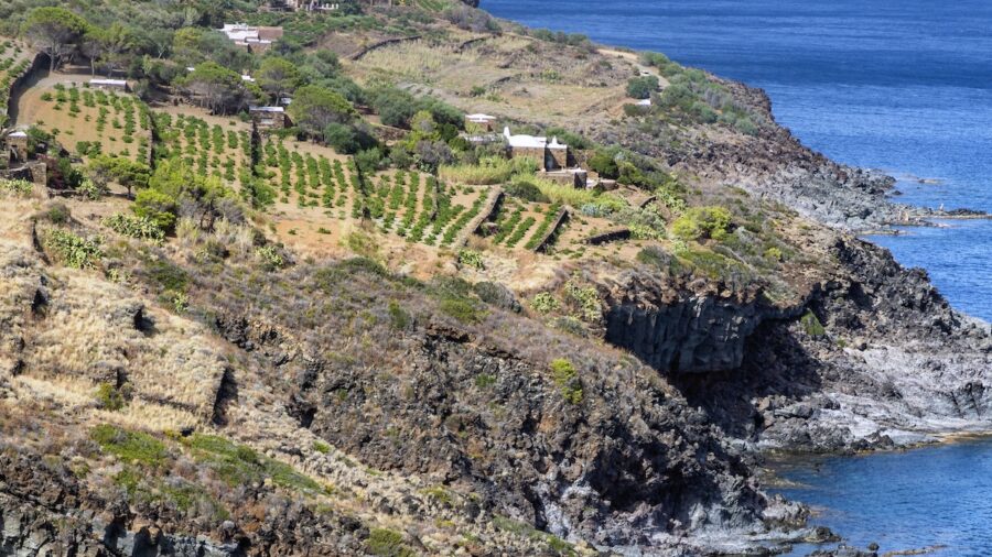 Pantelleria Youth Forum