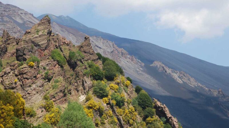 Rimappata la flora dell’Etna: 29 endemismi stretti e oltre mille specie