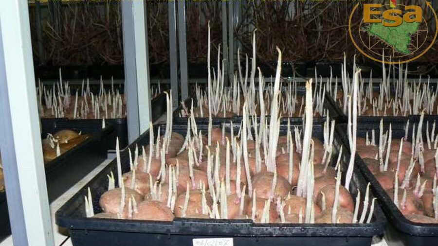 biofabbrica Ramacca Esa