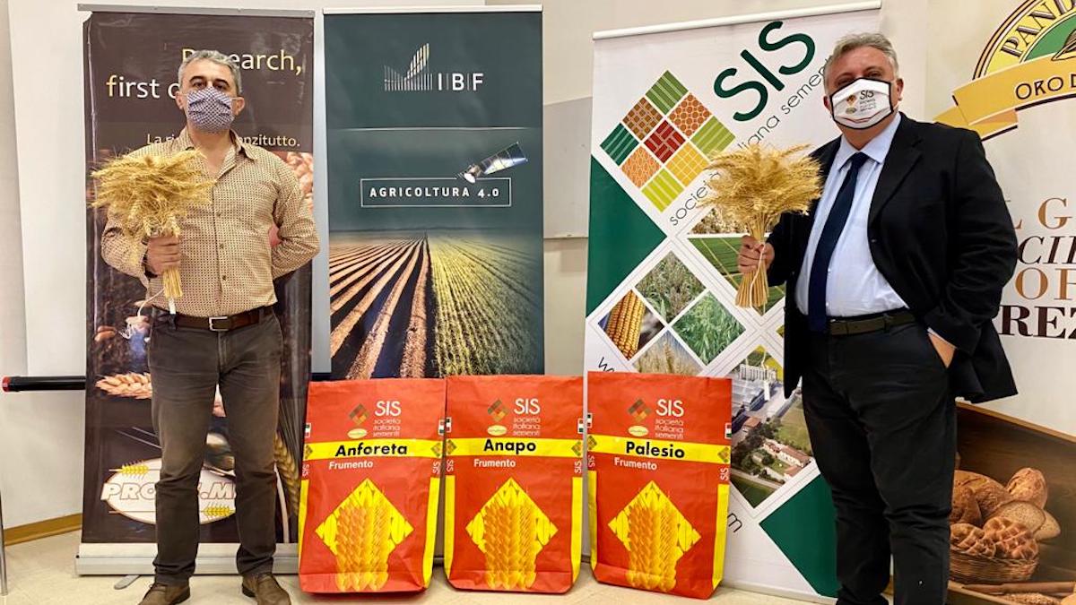 Grano tenero, debutta alla Valdittaino la prima filiera tracciata