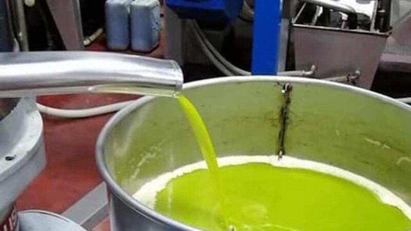 Olio d’oliva, i divieti del nuovo Dpcm azzerano vendite a bocca di frantoio