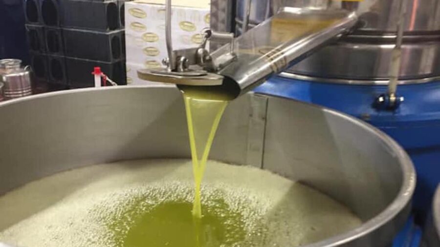 olio sfuso op