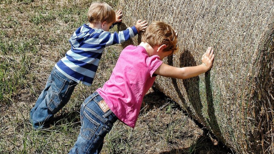 Agricoltura sociale