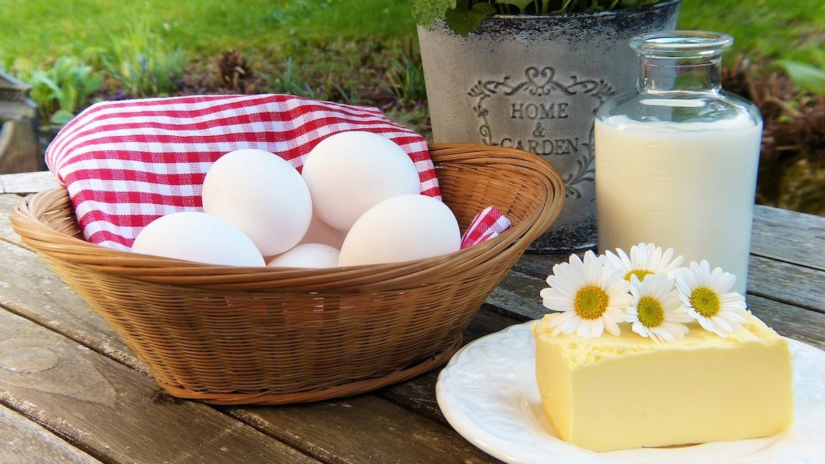AgriFood – Made in Italy 4.0, corso per esperto delle filiere agroalimentari