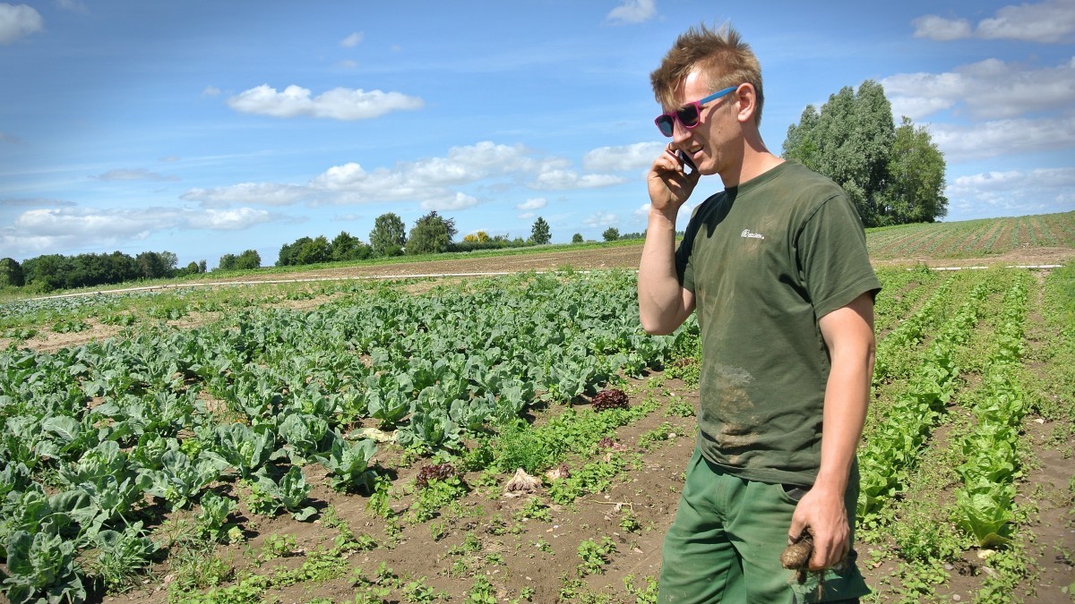 Con il sistema Akis riparte in Sicilia la consulenza agricola gratuita