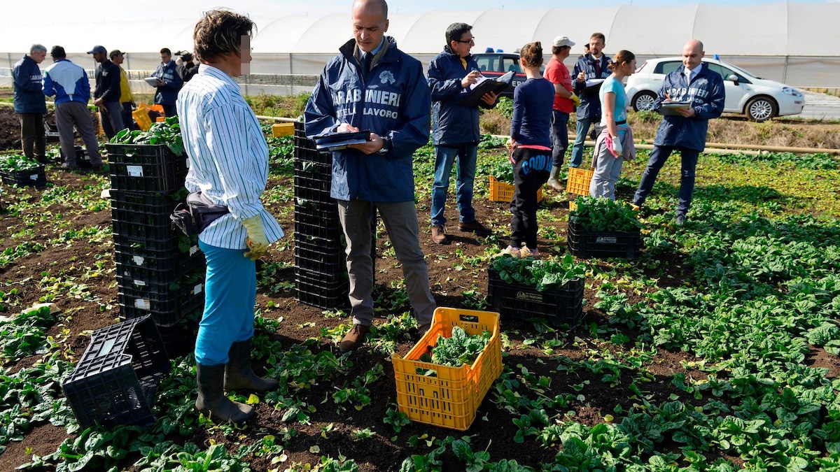 Pon legalità da 1,5 mln di euro a Vittoria contro il caporalato