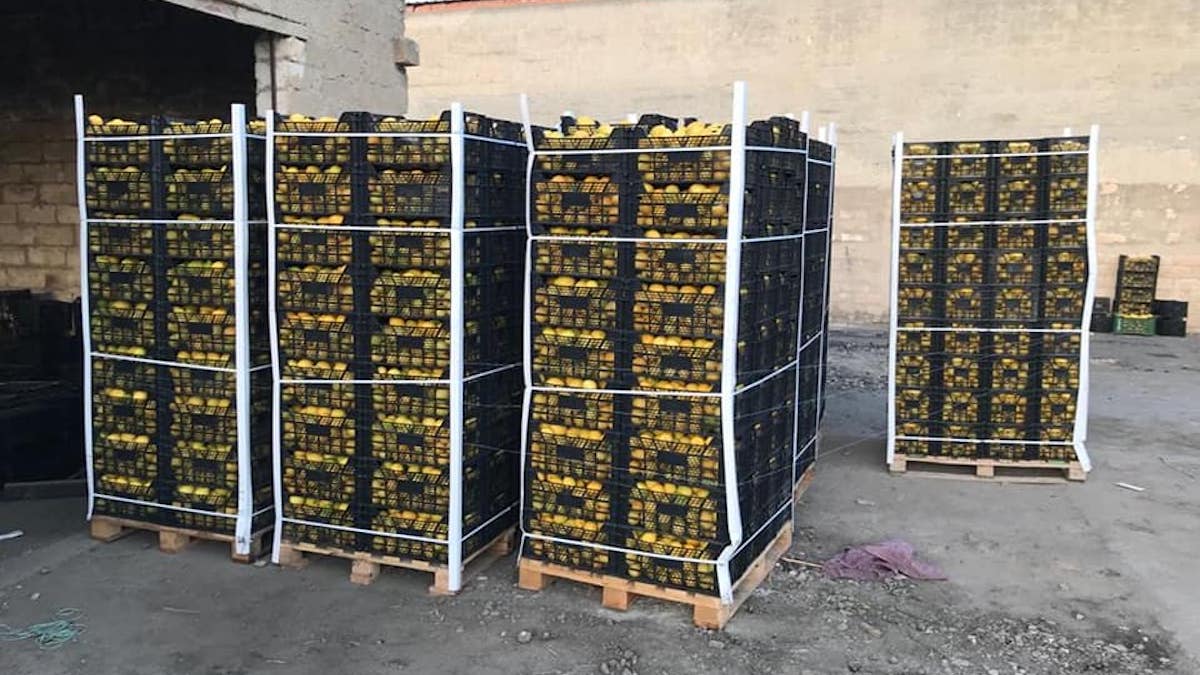 Controlli, 22 tonnellate di limoni spagnoli sequestrati ad Avola