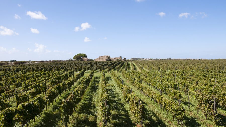 Docg Cerasuolo di Vittoria