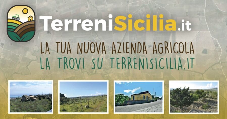 terreni