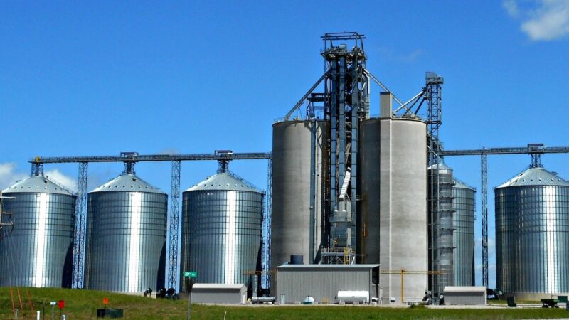 L’industria dei cereali contro il registro di carico e scarico di “Granaio Italia”