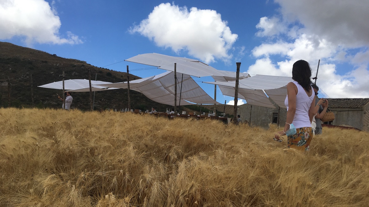 Italia al top per imprese agricole under 35, la Sicilia prima regione