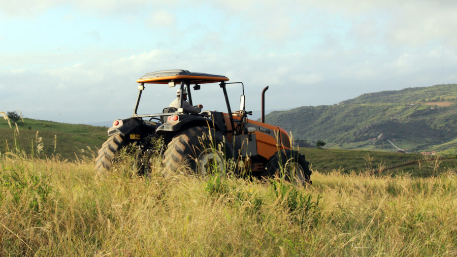 bando Isi Agricoltura