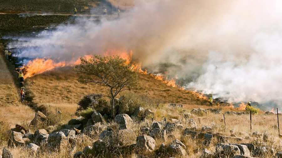catasto incendi piromani