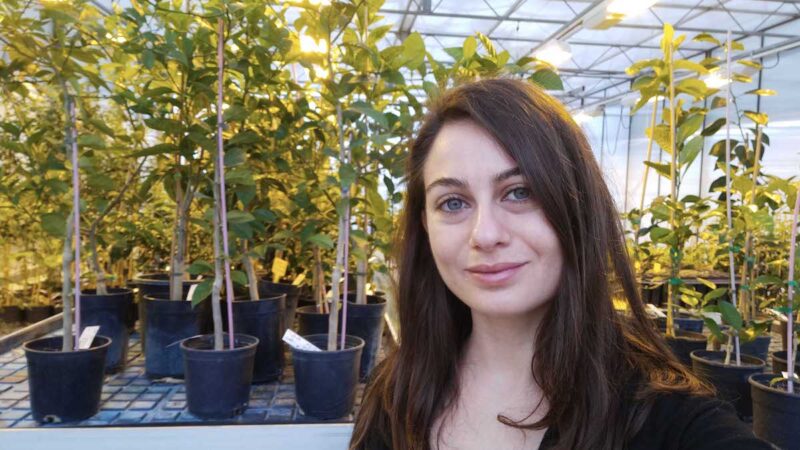 A una catanese il premio dell’Aissa intitolato al genetista Michele Stanca