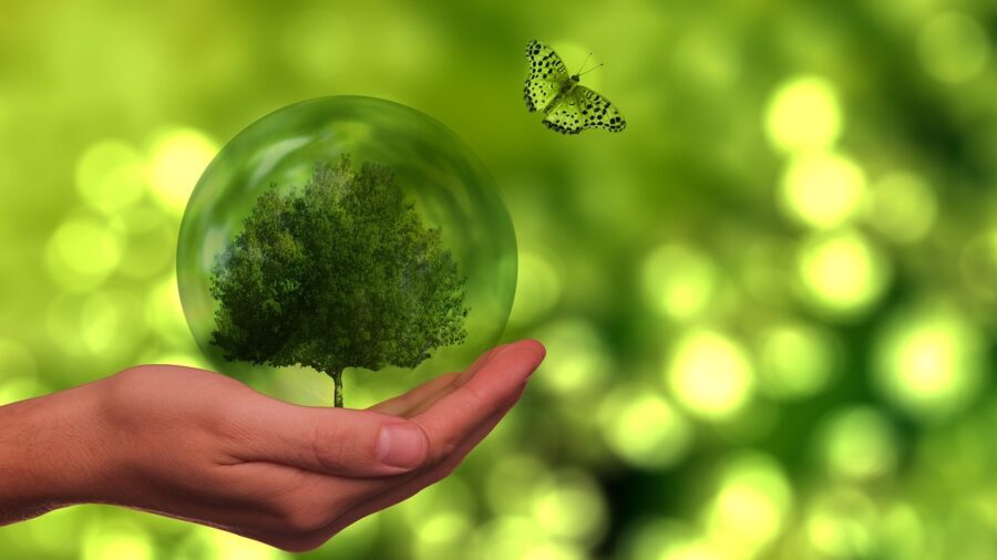 agroecologia