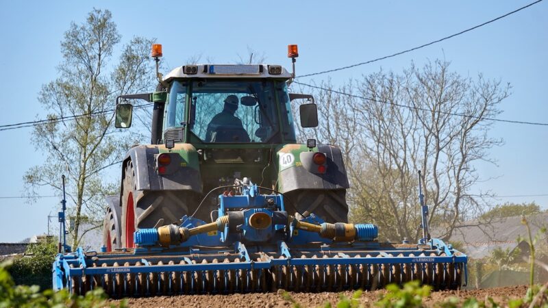 Stagionali, pronti i ricorsi giudiziari per ottenere il “bonus ristori”