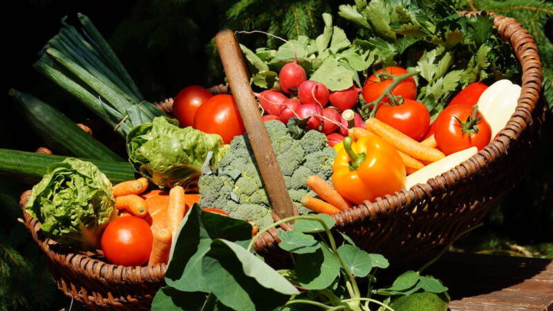 Al via “Dal Campo alla Tavola” primo e-commerce degli agricoltori italiani