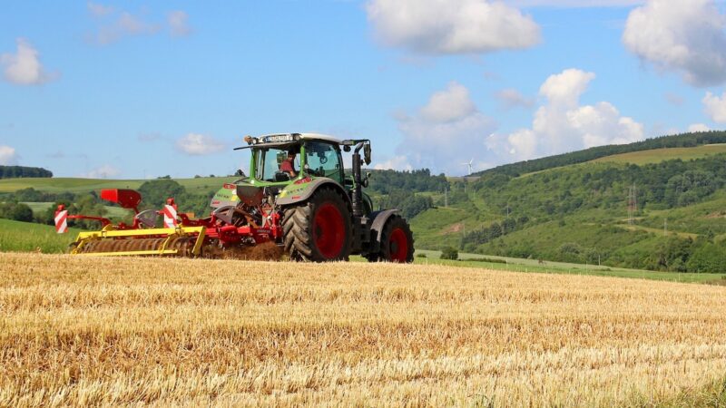 Dl Sostegni: ecco cosa c’è e cosa manca tra gli interventi per il settore agricolo