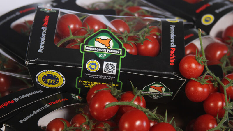 Pachino Igp,  tracciabilità del pomodoro dal vivaio alla spedizione