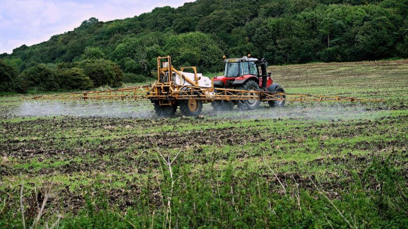 Pesticidi giù del 32% in dieci anni: agricoltura italiana più green d’Europa
