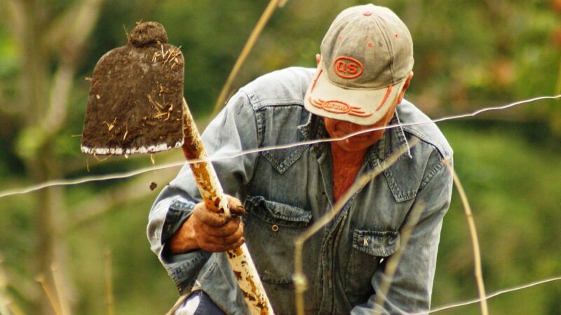 Agricoltura contadina, da Montecitorio disco verde alla legge di tutela