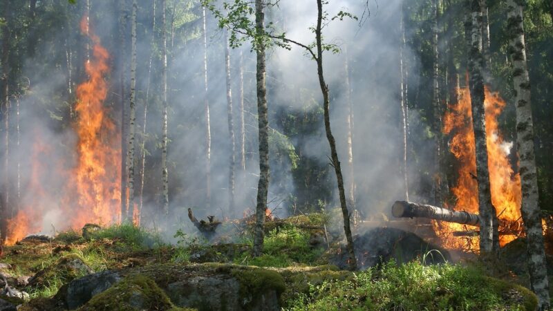 Prevenzione incendi, gli agricoltori diventano “custodi del territorio”