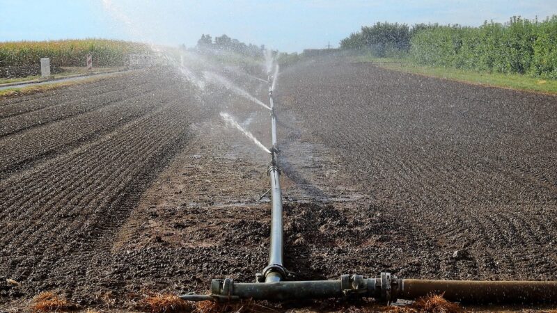 Psr Sicilia, bando da 14 milioni per infrastrutture idriche