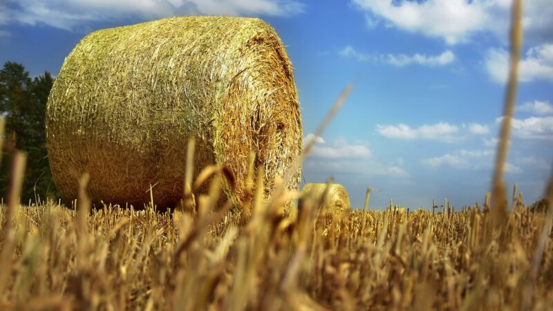 Riforma della Pac, Cia: settimana decisiva di triloghi per futuro agricoltura Ue