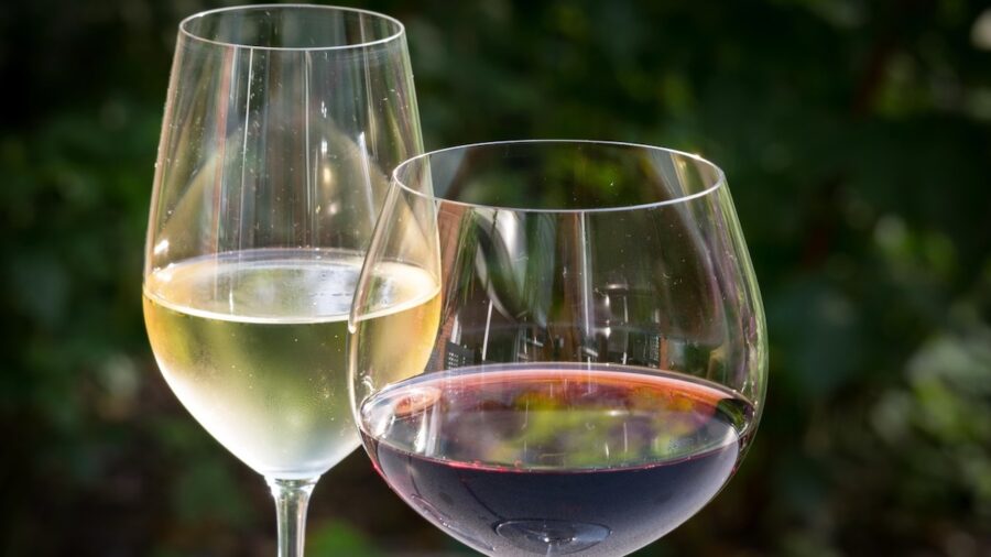 vino bio Assoenologi SOStain