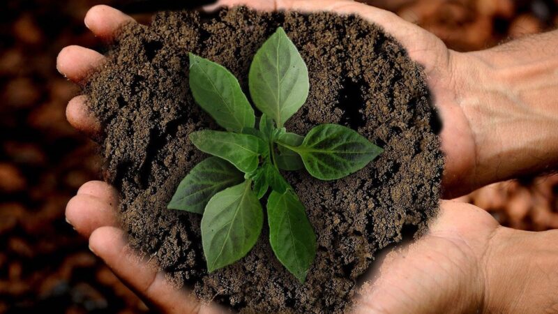 Federbio, al via la campagna sullo stato di salute dei terreni agricoli