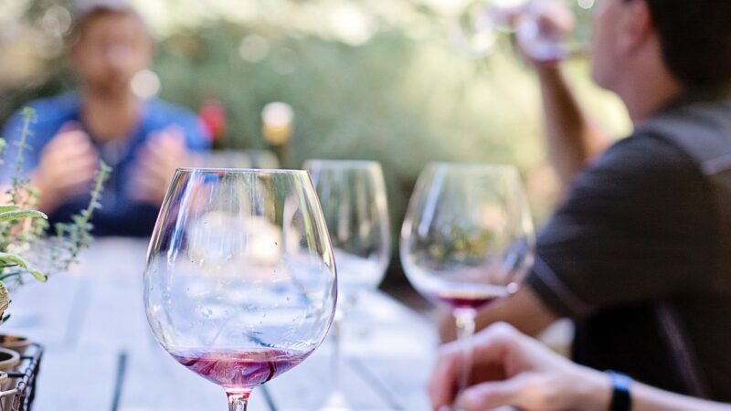 Vino e sostenibilità ambientale, nasce la Slow Wine Coalition