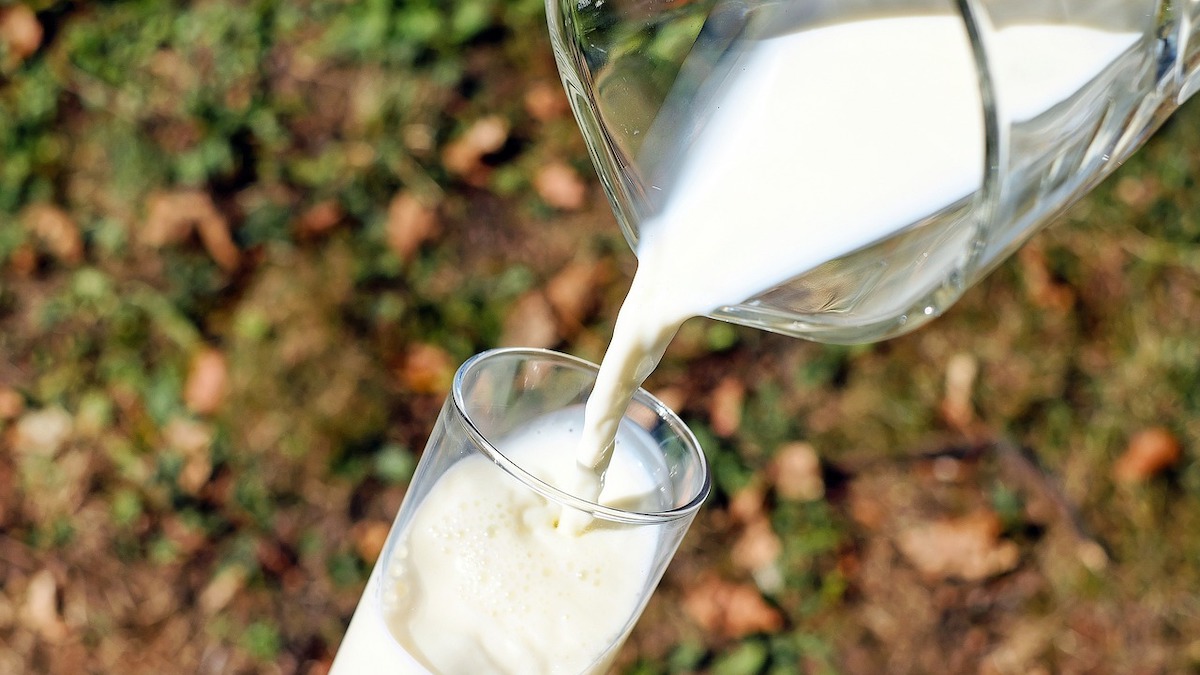 Caseificio Italia, Diprosilac: finalmente potremo valorizzare il nostro latte