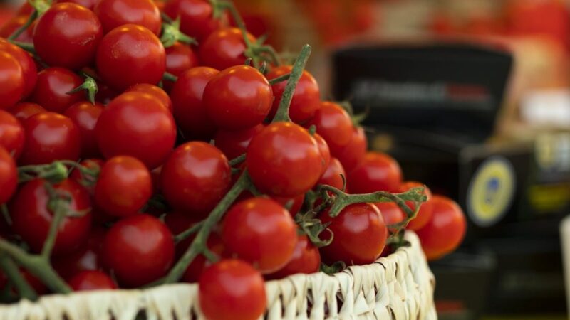 Igp Pomodoro di Pachino, convegno sulle proprietà nutraceutiche