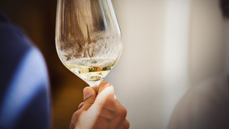 Alcamo, focus sui vini siciliani e degustazioni guidate all’Enoteca regionale